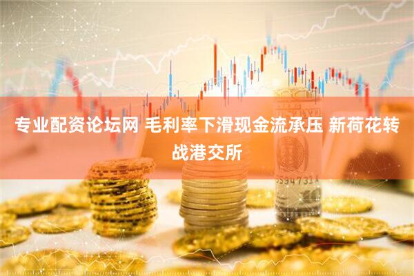 专业配资论坛网 毛利率下滑现金流承压 新荷花转战港交所
